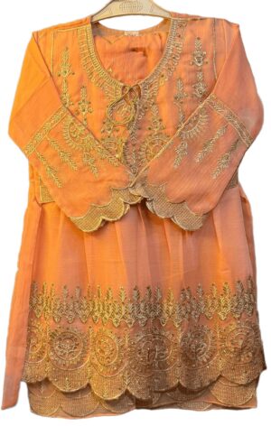 Luxury Orange Embroidered Party Wear Dress for Women – Wedding & Festive Collection