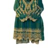 Luxury Green Embroidered Party Wear Dress for Women – Wedding & Festive Collection