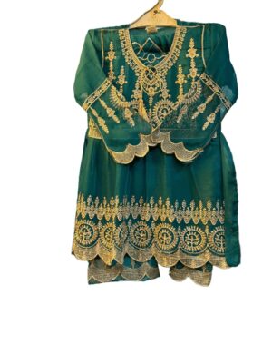 Luxury Green Embroidered Party Wear Dress for Women – Wedding & Festive Collection