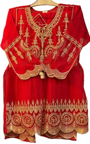 Luxury Red Embroidered Party Wear Dress for Women – Festive & Wedding Collection